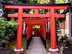 上野花園稲荷神社の鳥居